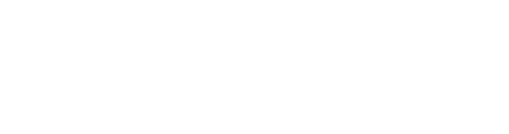 logo devauze point fort fichet marseille blanc bas de page